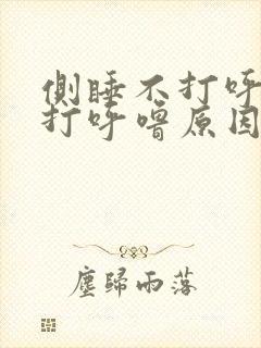 侧睡不打呼平躺打呼噜原因