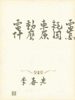 电动车耗电快是什么原因怎么解决