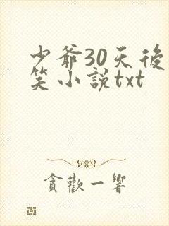 少爷30天后会笑小说txt