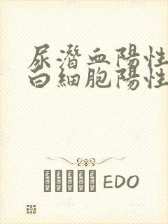 尿潜血阳性和尿白细胞阳性怎么回事