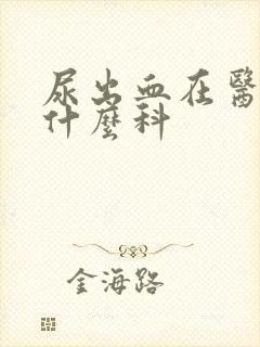 尿出血在医院挂什么科