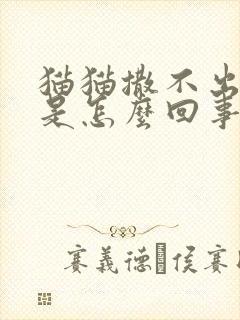 猫猫撒不出来尿是怎么回事