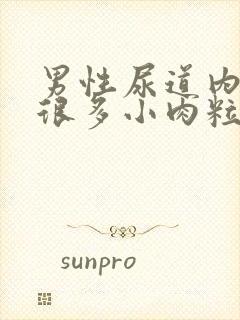 男性尿道内长了很多小肉粒