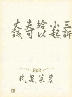 丈夫给小三多少钱可以起诉