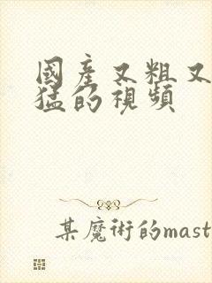 国产又粗又爽又猛的视频