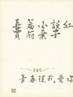 长篇小说红楼之贾府弃子