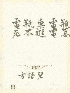 电瓶车电瓶亏电充不进电怎么恢复