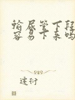 输尿管下段结石容易下来吗