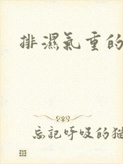 排湿气重的症状