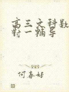 高三文科数学一对一辅导