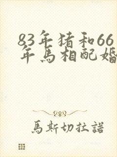 83年猪和66年马相配婚姻如何