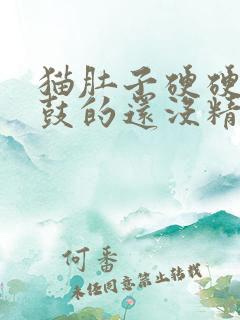 猫肚子硬硬的鼓鼓的还没精神