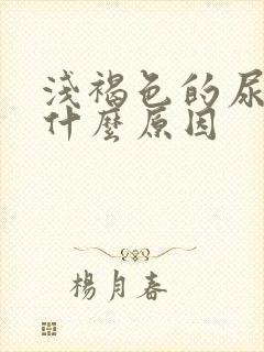 浅褐色的尿液是什么原因