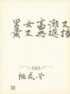 男女高潮又爽又黄又无遮挡