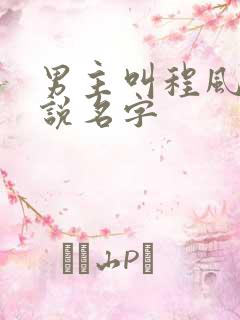 男主叫程风的小说名字