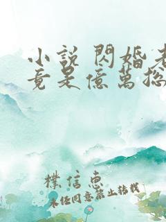 小说 闪婚老公竟是亿万总裁