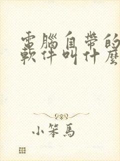 电脑自带的画图软件叫什么