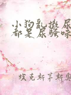 小狗乱撒尿房里都是尿骚味怎么办