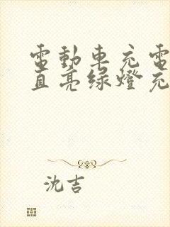 电动车充电器一直亮绿灯充不进电