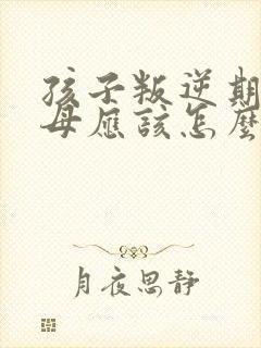 孩子叛逆期,父母应该怎么跟他沟通