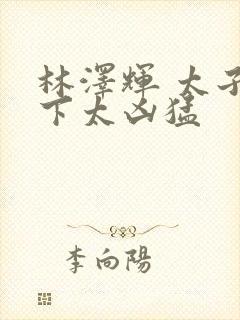 林泽辉 太子殿下太凶猛