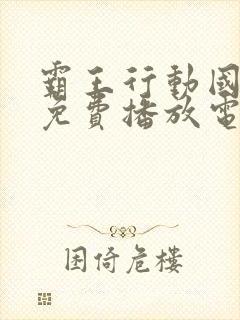 霸王行动国语版免费播放电影国语版