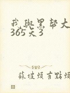 我与黑帮大佬的365天3
