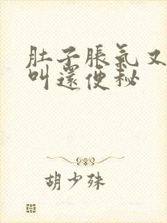 肚子胀气又咕噜叫还便秘