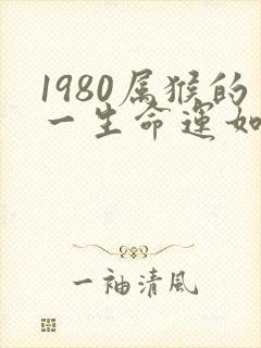 1980属猴的一生命运如何