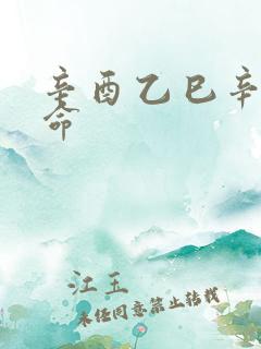 辛酉乙巳辛巳女命