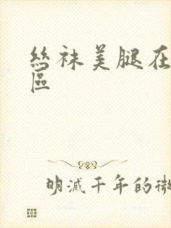 丝袜美腿在线二区