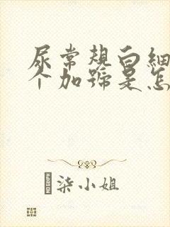 尿常规白细胞一个加号是怎么回事