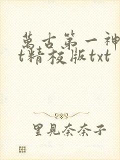 万古第一神txt精校版txt