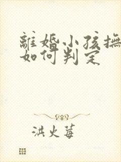 离婚小孩抚养权如何判定