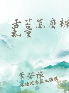 舌苔怎么辨别湿气重