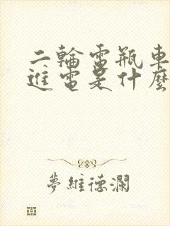 二轮电瓶车充不进电是什么原因