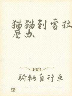 猫猫到处拉尿怎么办