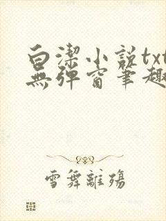 白洁小说txt无弹窗笔趣阁