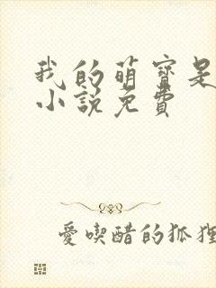 我的萌宝是僚机小说免费