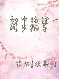 初中物理一对一同步辅导