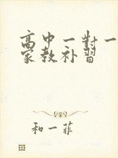 高中一对一上门家教补习