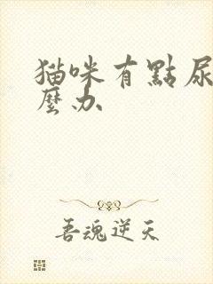 猫咪有点尿闭怎么办