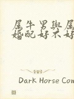 属牛男与属虎女婚配好不好