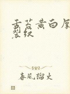 舌苔黄白厚腻有裂纹