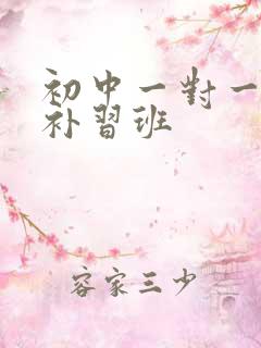 初中一对一物理补习班