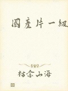 国产片一级黄色