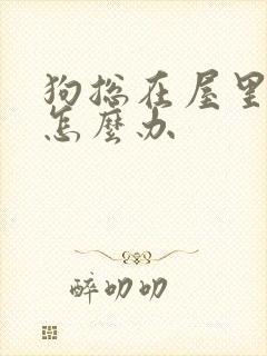 狗总在屋里拉尿怎么办