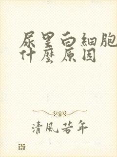 尿里白细胞高是什么原因