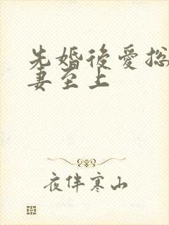 先婚后爱总裁宠妻至上