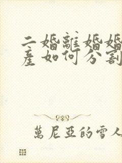 二婚离婚婚前财产如何分割新婚姻法